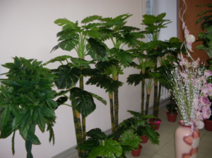 Оптово-розничная база искусственных цветов и растений Аваланж в Нижнем Новгороде